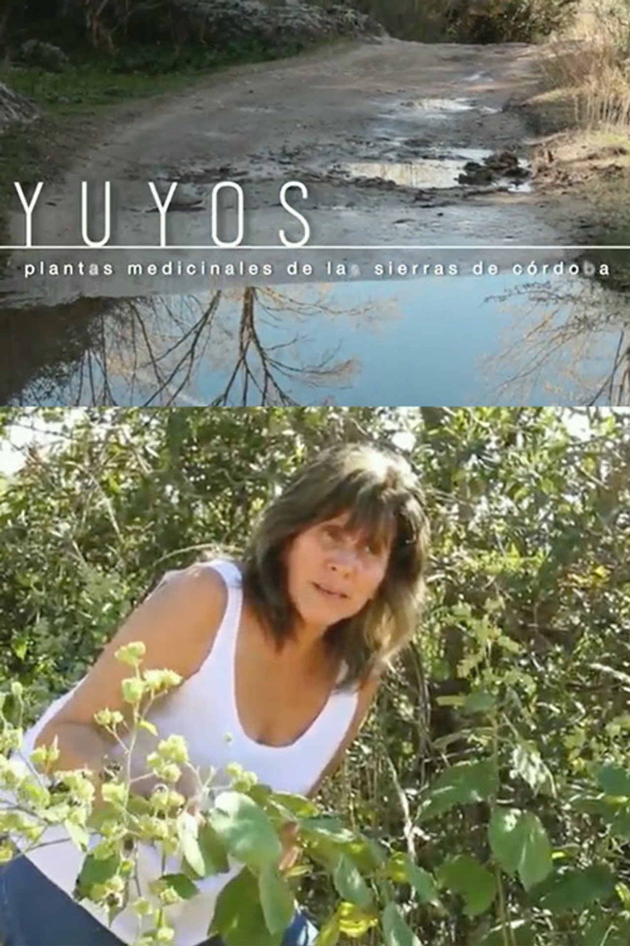 YuYos filmaffisch