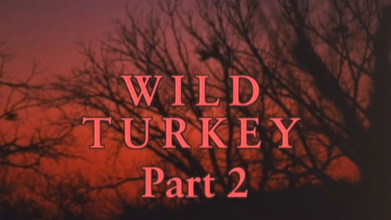 Marty Stouffer's Wild America — Épisode 8