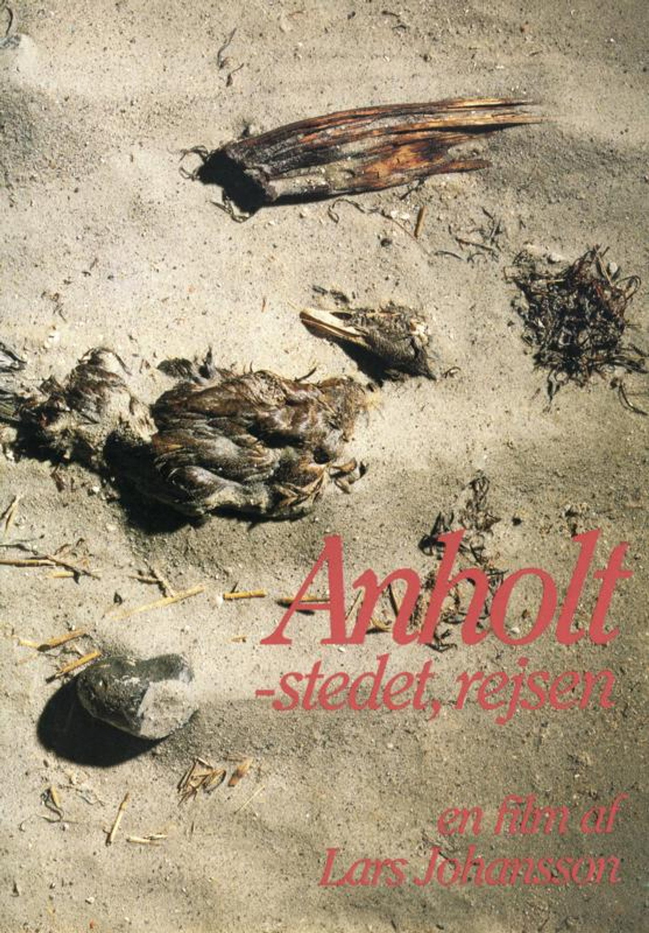 Anholt - stedet, rejsen filmaffisch