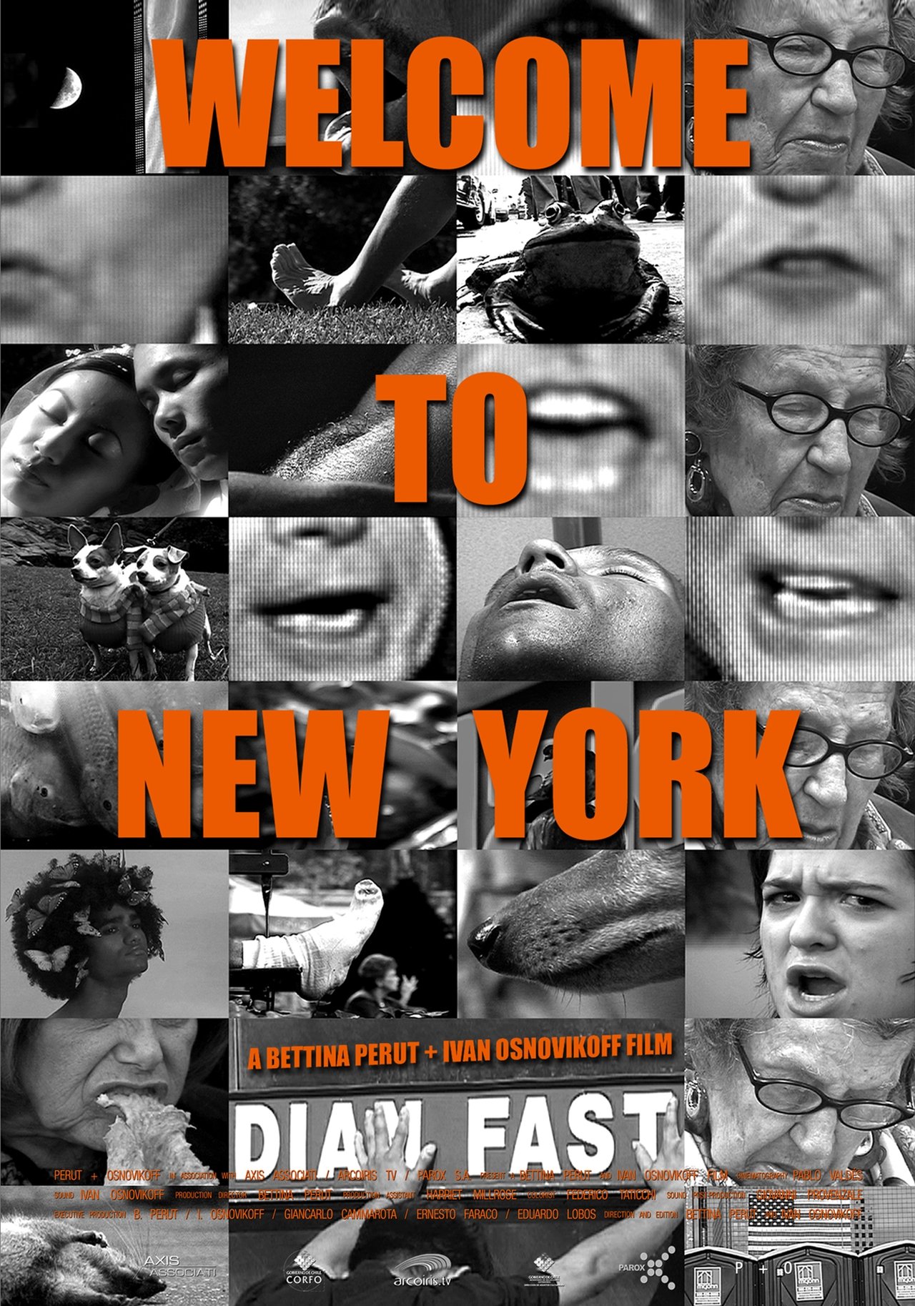 مشاهدة فيلم Welcome to New York مترجم بدون اعلانات - بوستر