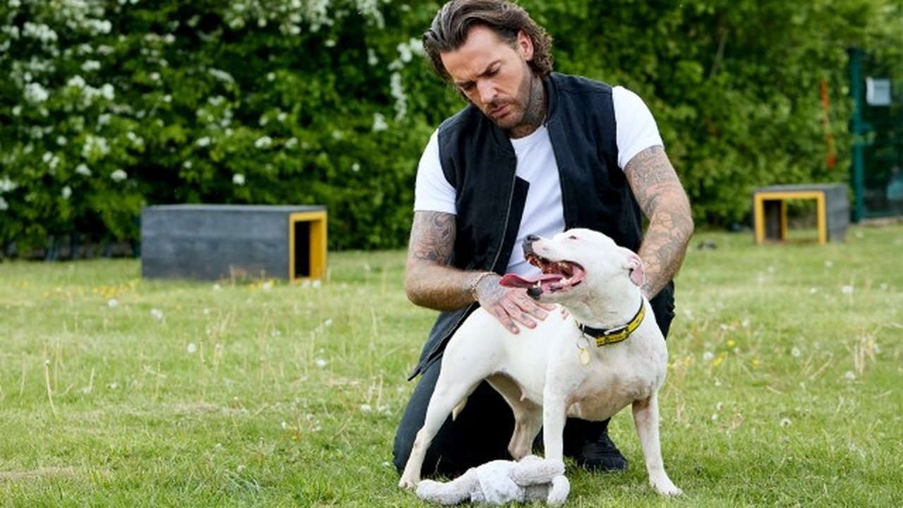 Pete Wicks: For Dogs’ Sake - Season 2 Episode 4 : Queen Bee, Winter Elliot