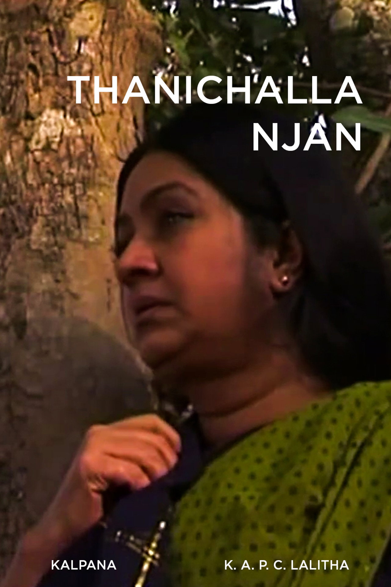 തനിച്ചല്ല ഞാൻ filmaffisch