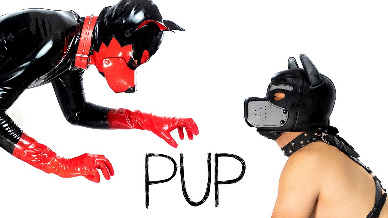 Pup still 2