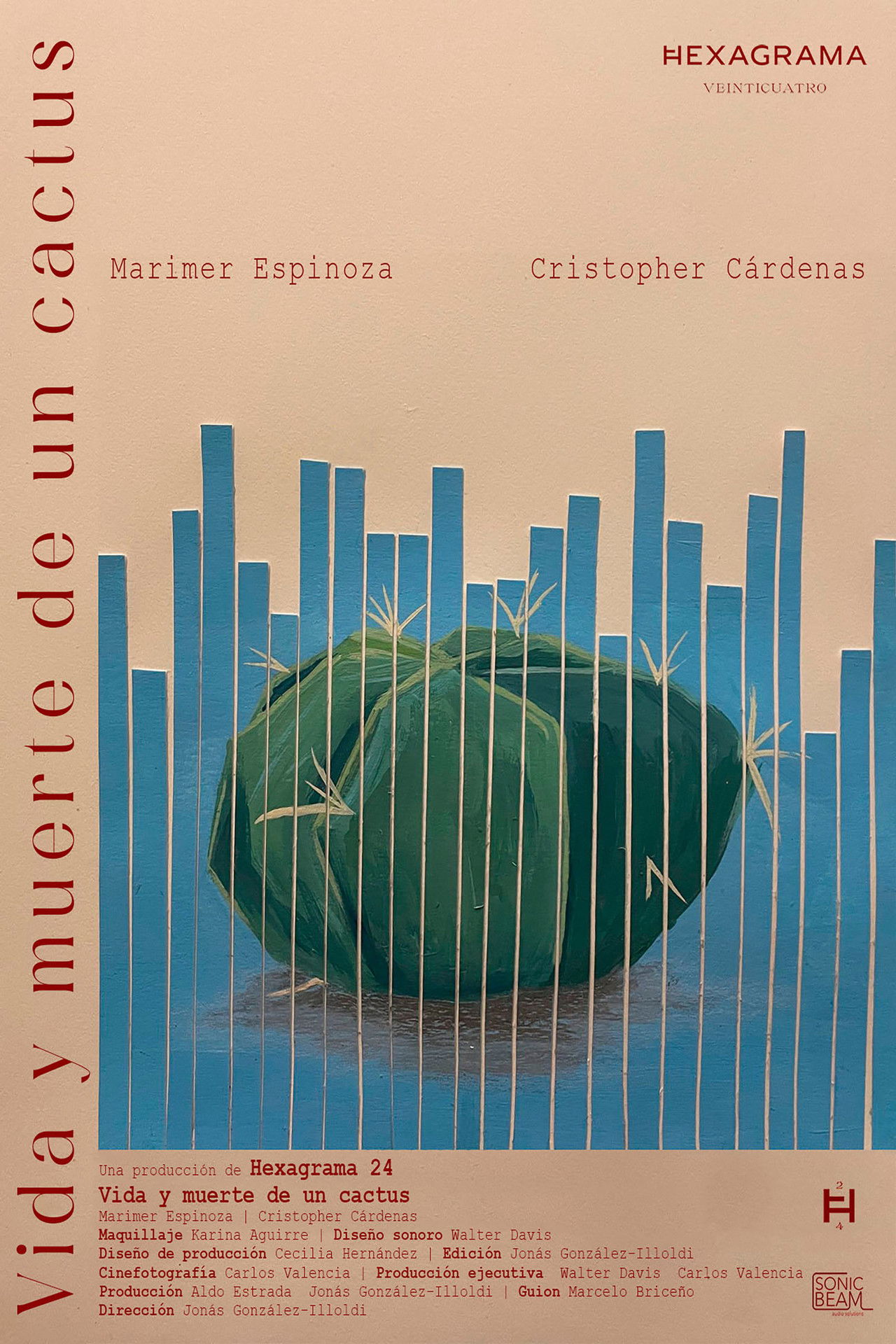 Life and Death of a Cactus Backdrop