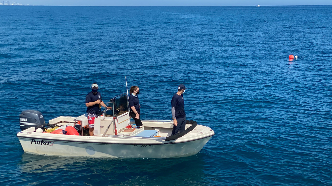 Shark Attack Investigation: The Paige Winter Story