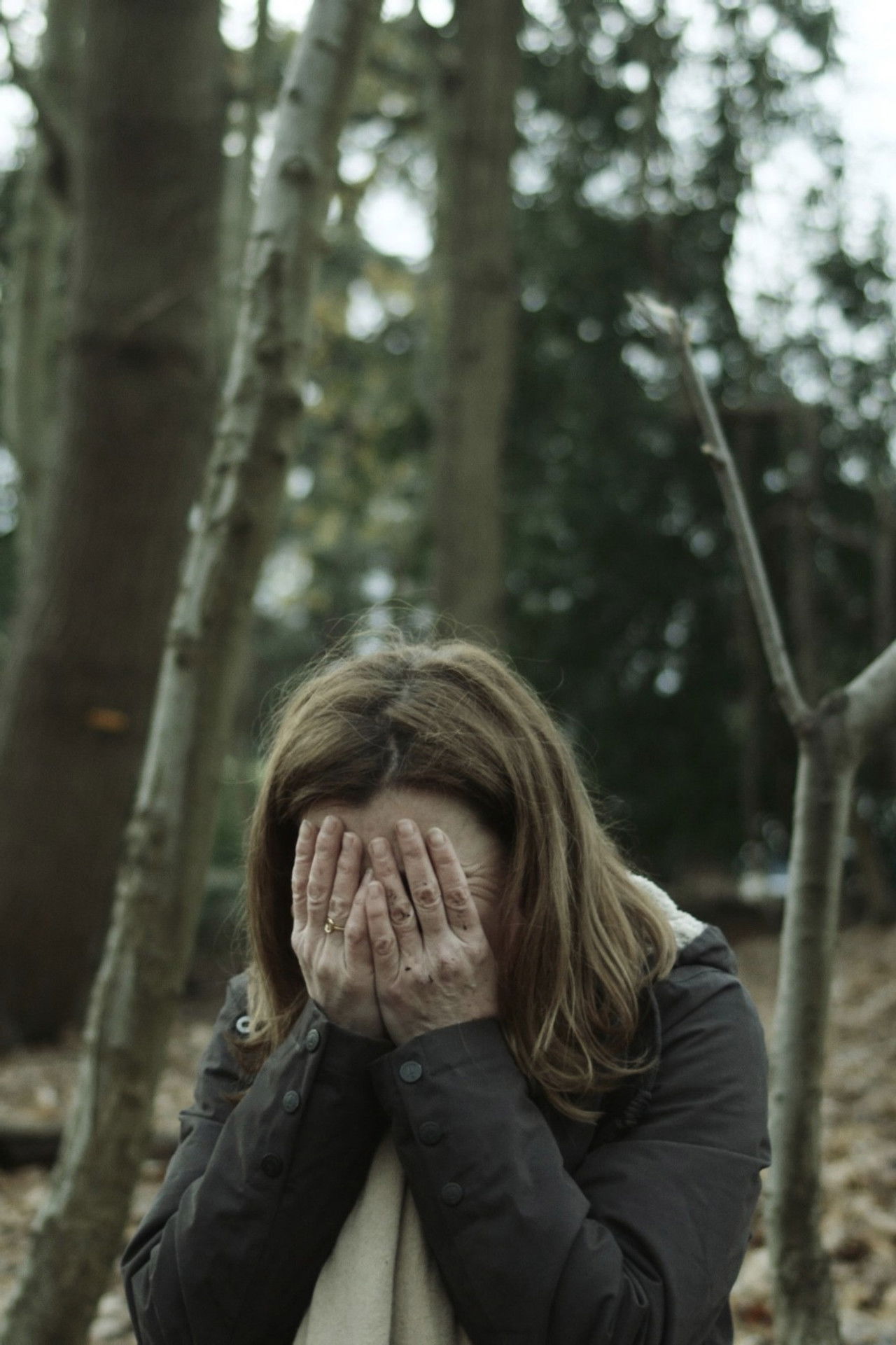 The Erl King Backdrop