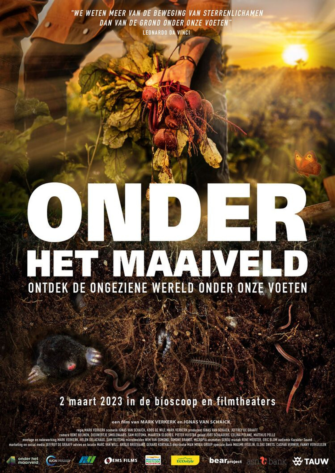 Onder het Maaiveld filmaffisch