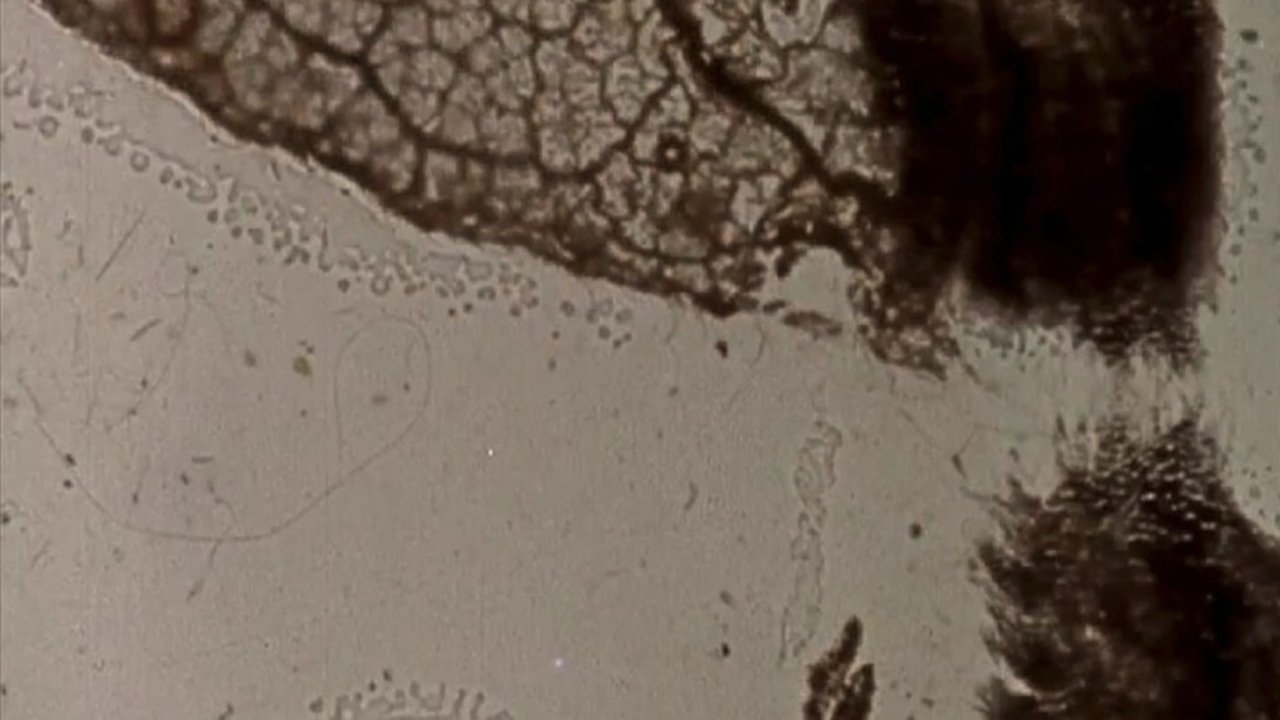 title image