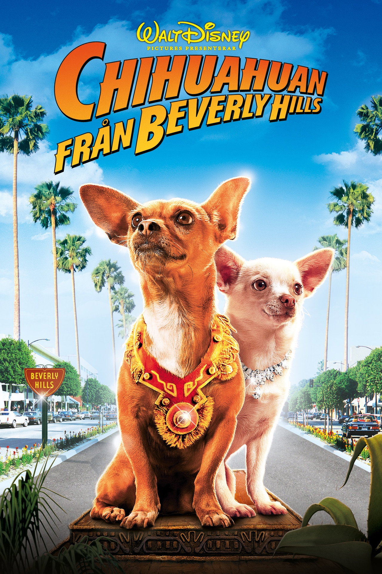 Chihuahuan från Beverly Hills filmaffisch