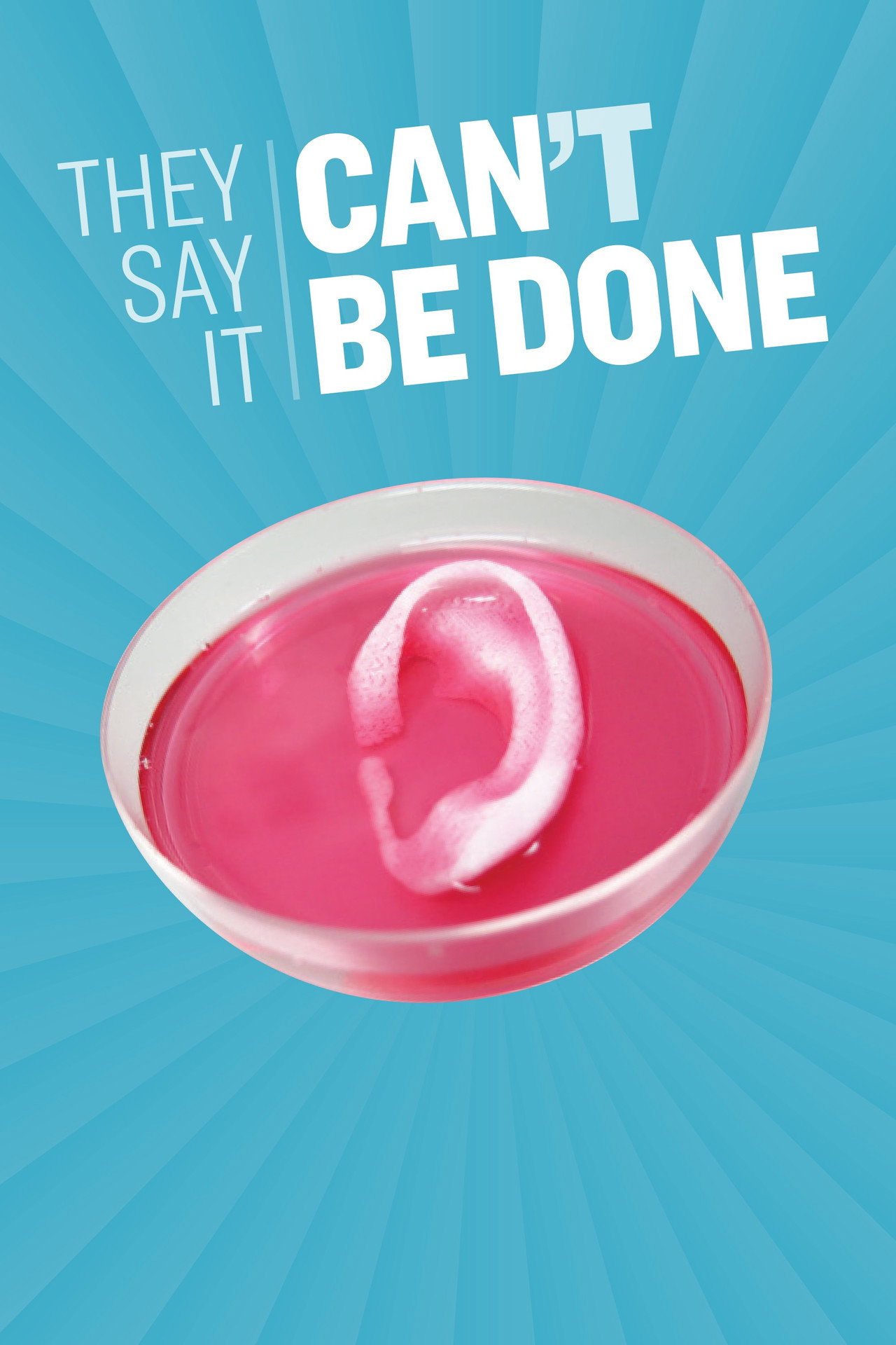 They Say It Can't Be Done (2019)