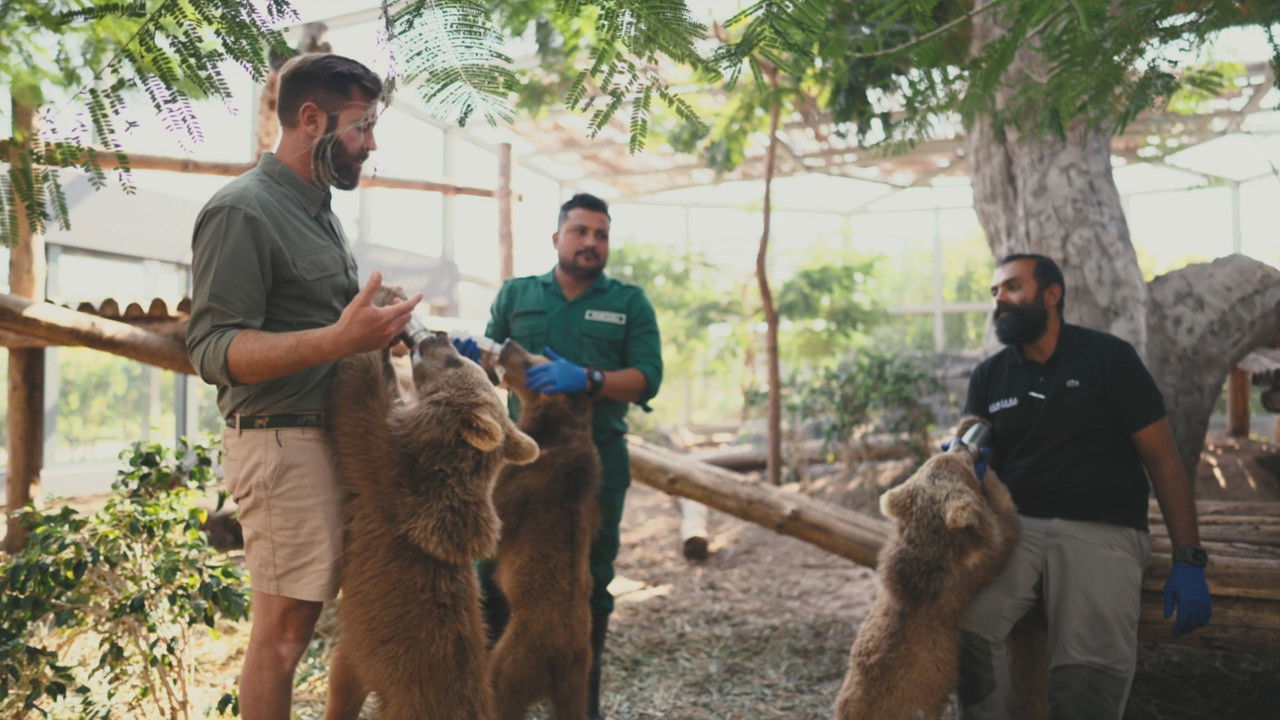 Vantara: Santuary Stories - Season 1 Episode 4 : The Feeders