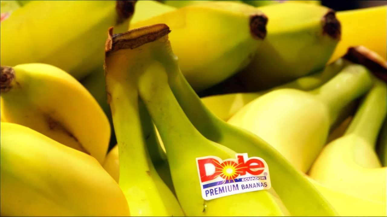 Big Boys Gone Bananas!* Backdrop Image