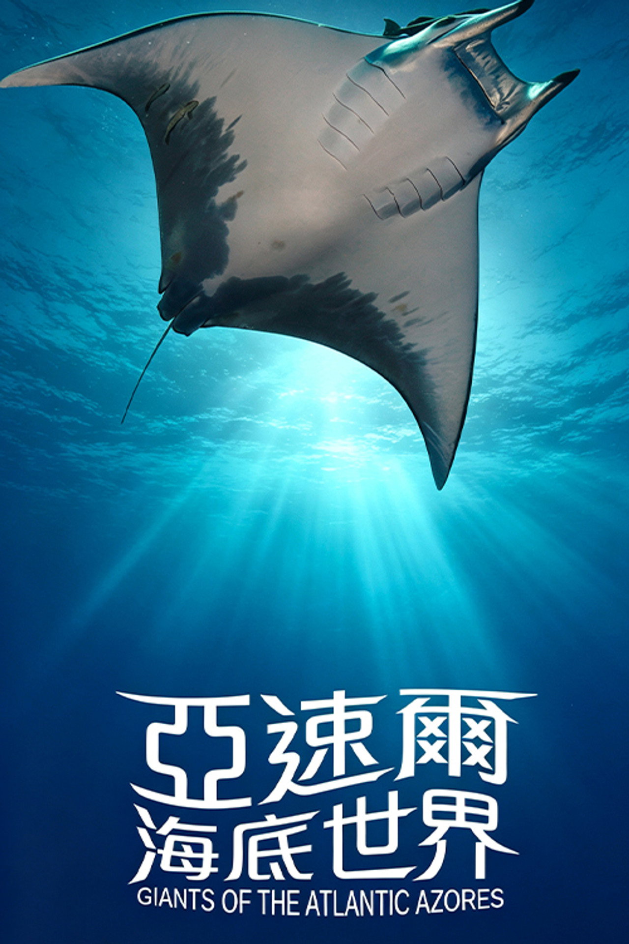亚速尔海底世界