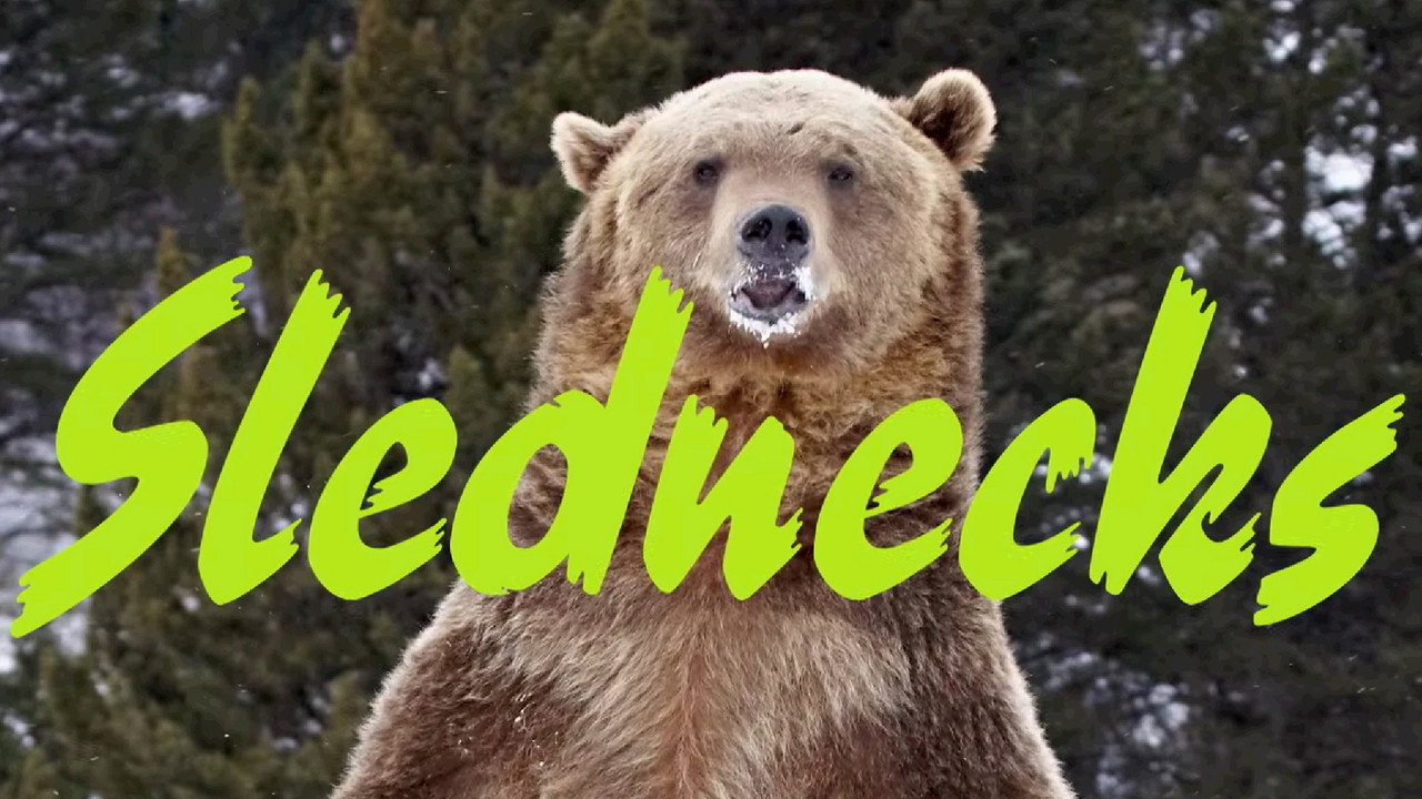 Backdrop for Slednecks