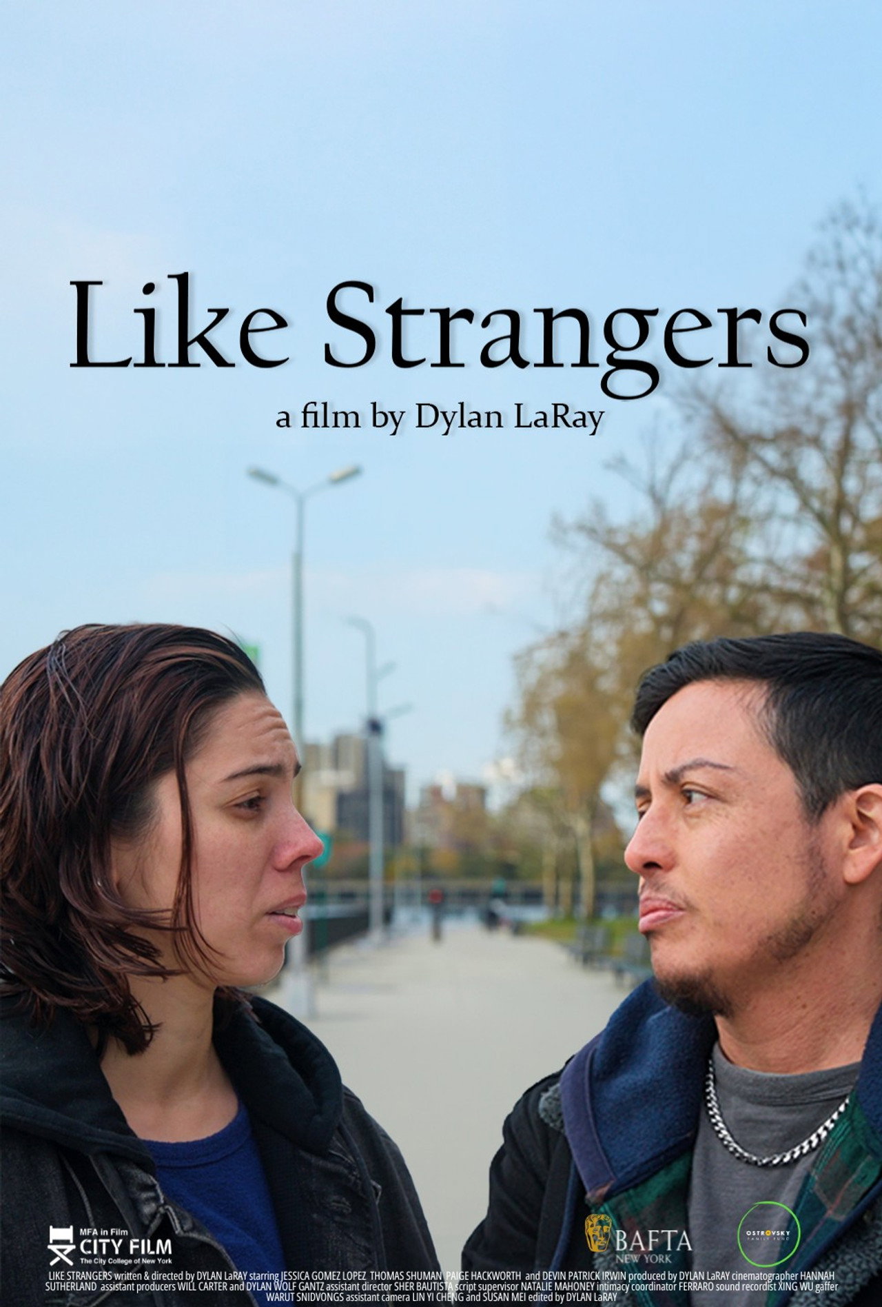 Like Strangers filmaffisch