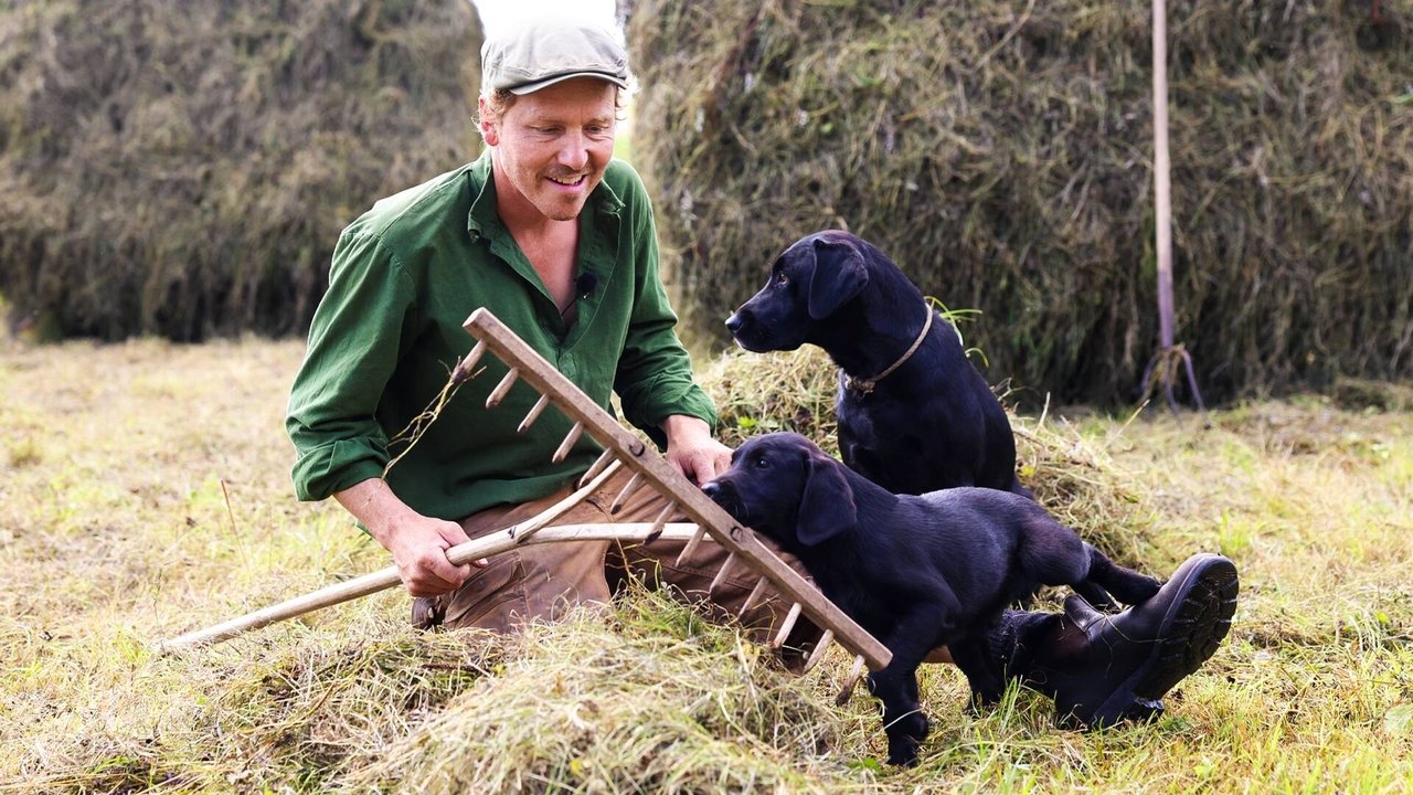 Frank & Kastaniegaarden - Season 29 Episode 17 : Episode 17