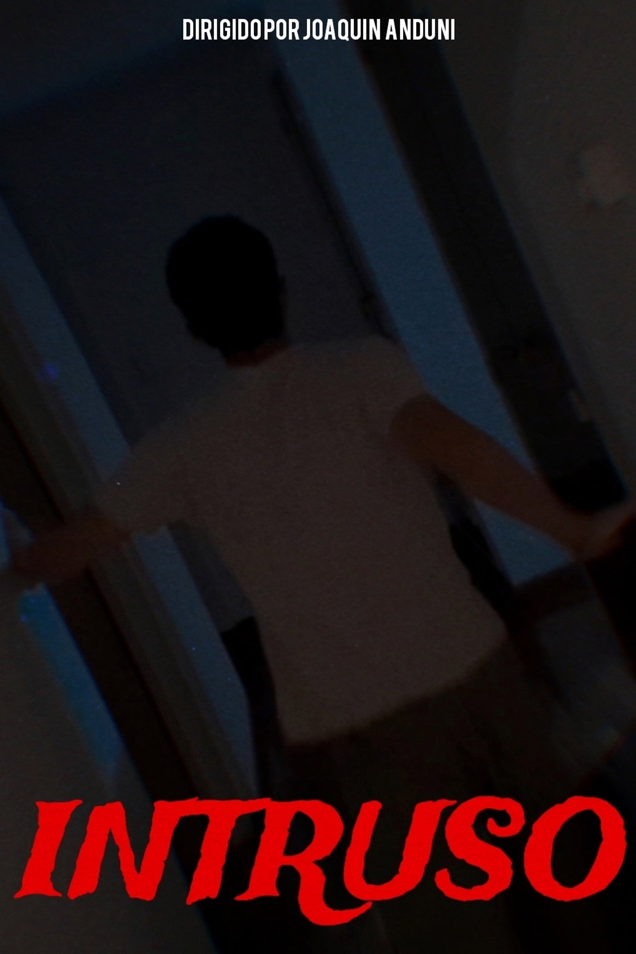 INTRUDER poster