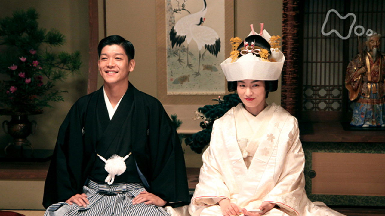 カーネーション backdrop