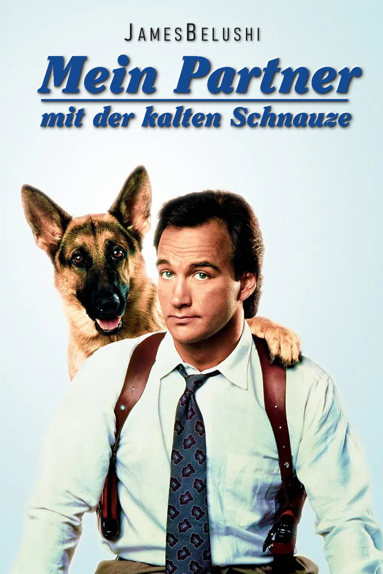 Mein Partner mit der kalten Schnauze