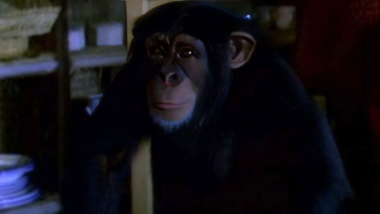 Tarzán — Le Maléfice de Katunga