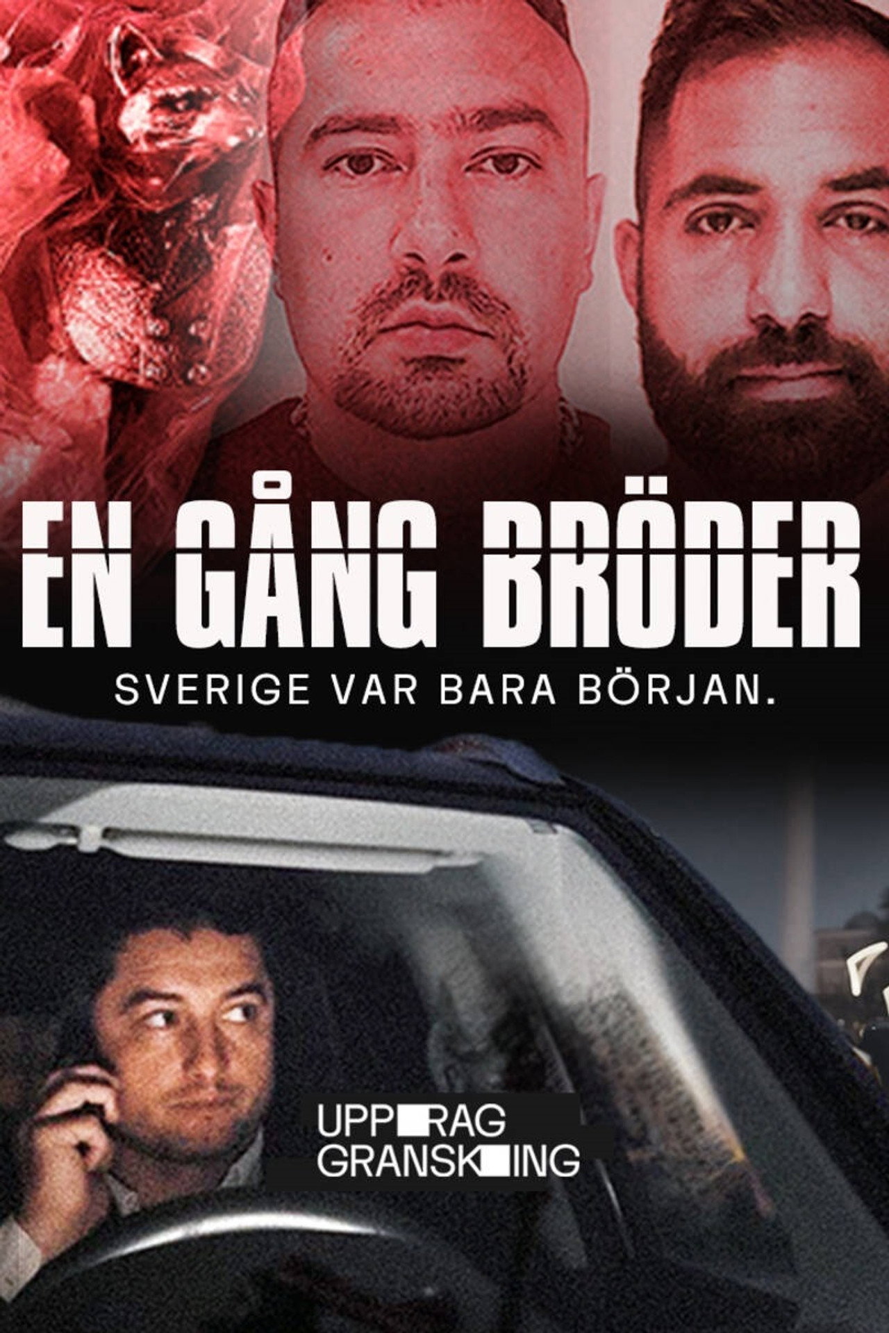 Uppdrag granskning: En gång bröder affisch