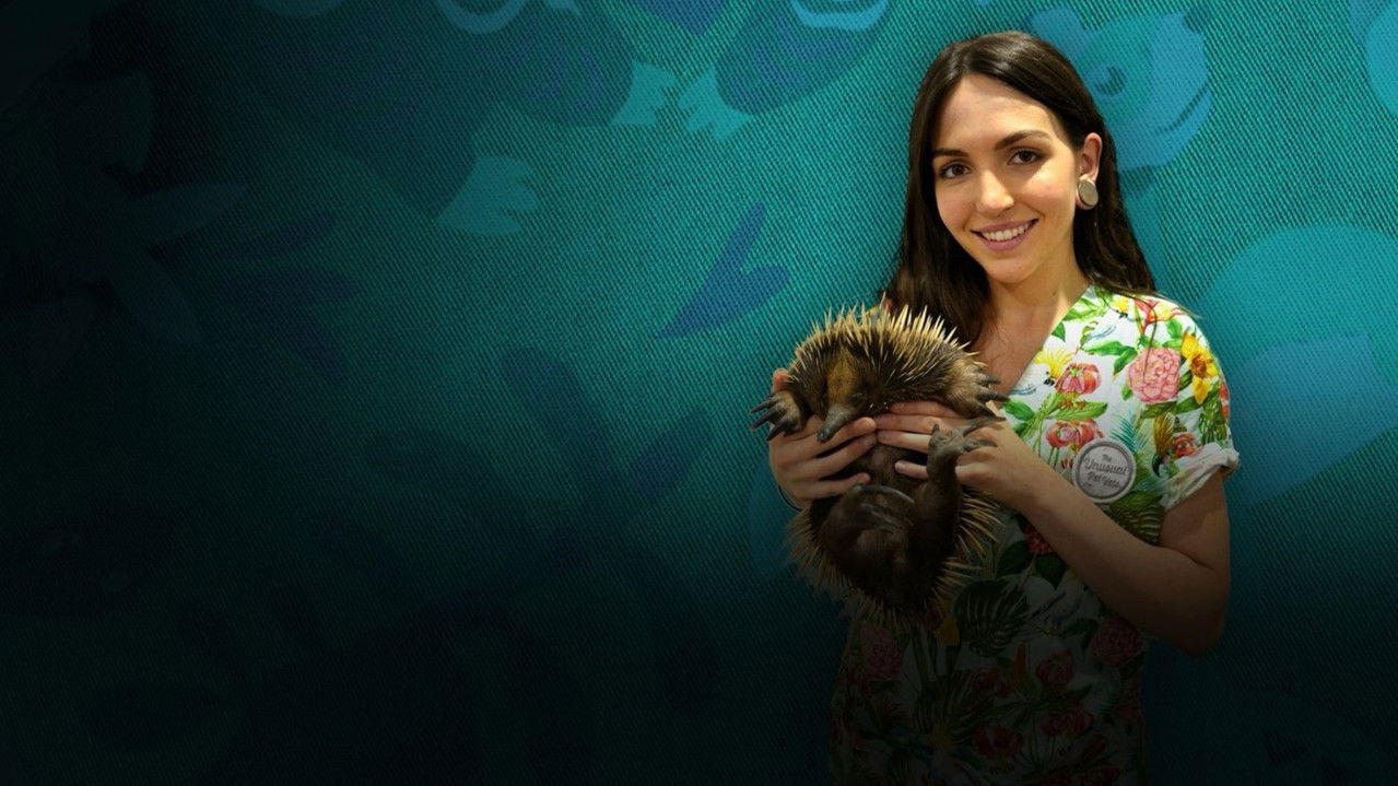 The Bizarre Pet Vets official wallpaper