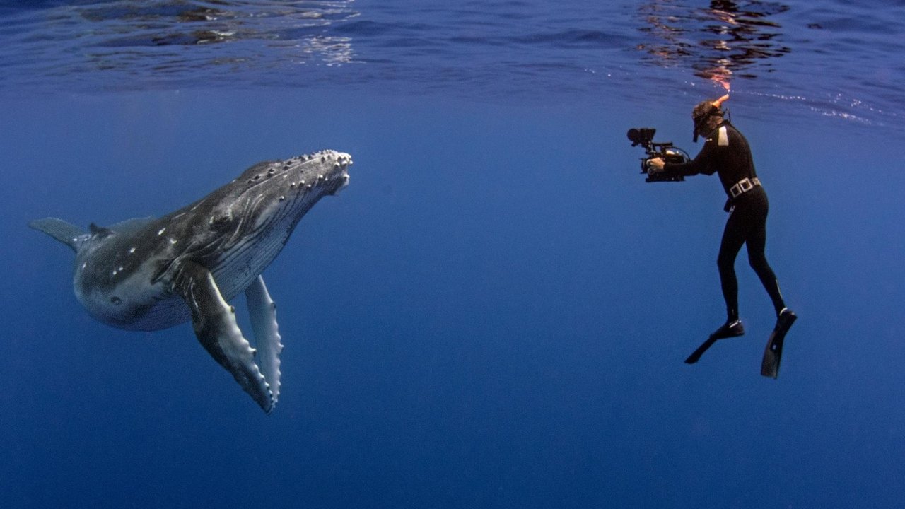 Nature - Season 38 Episode 9 : The Whale Detective