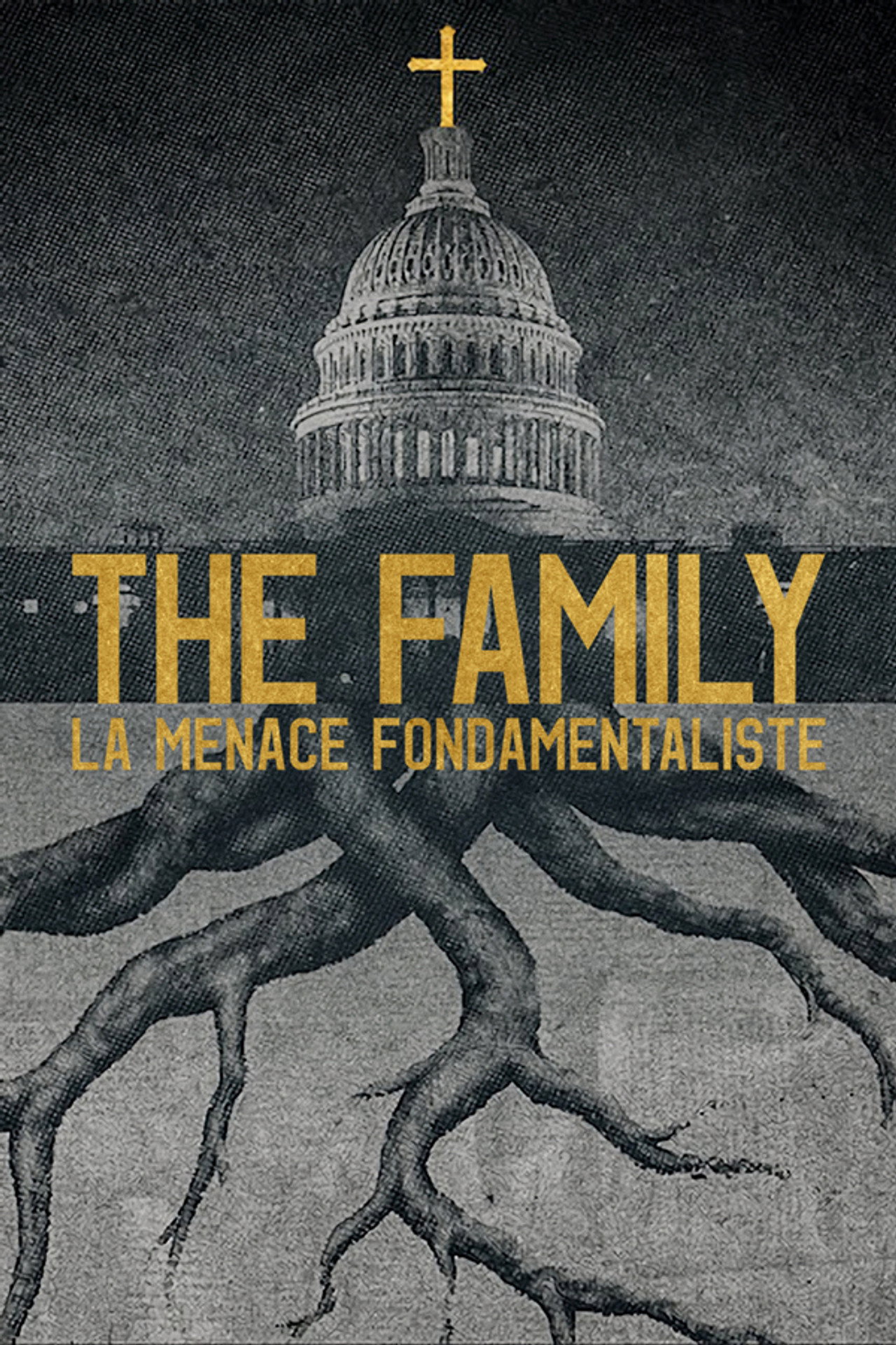 The Family : La menace fondamentaliste poster
