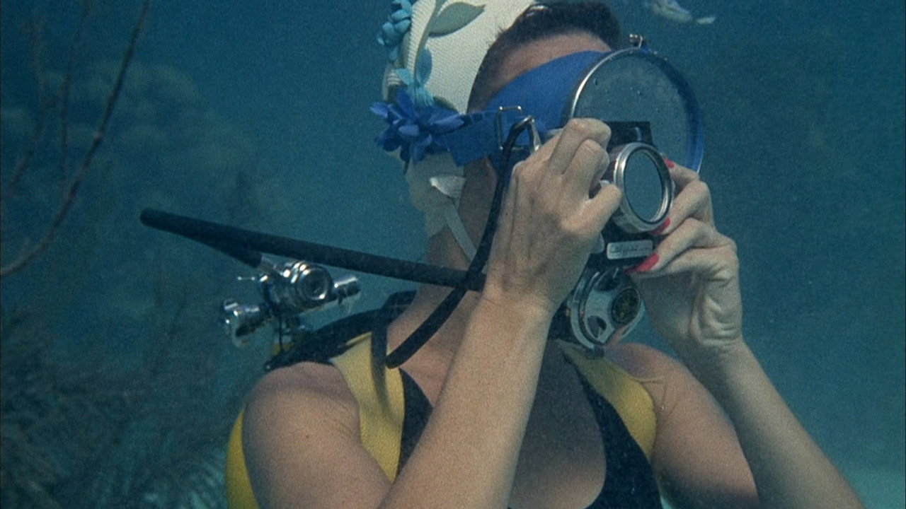 Flipper backdrop