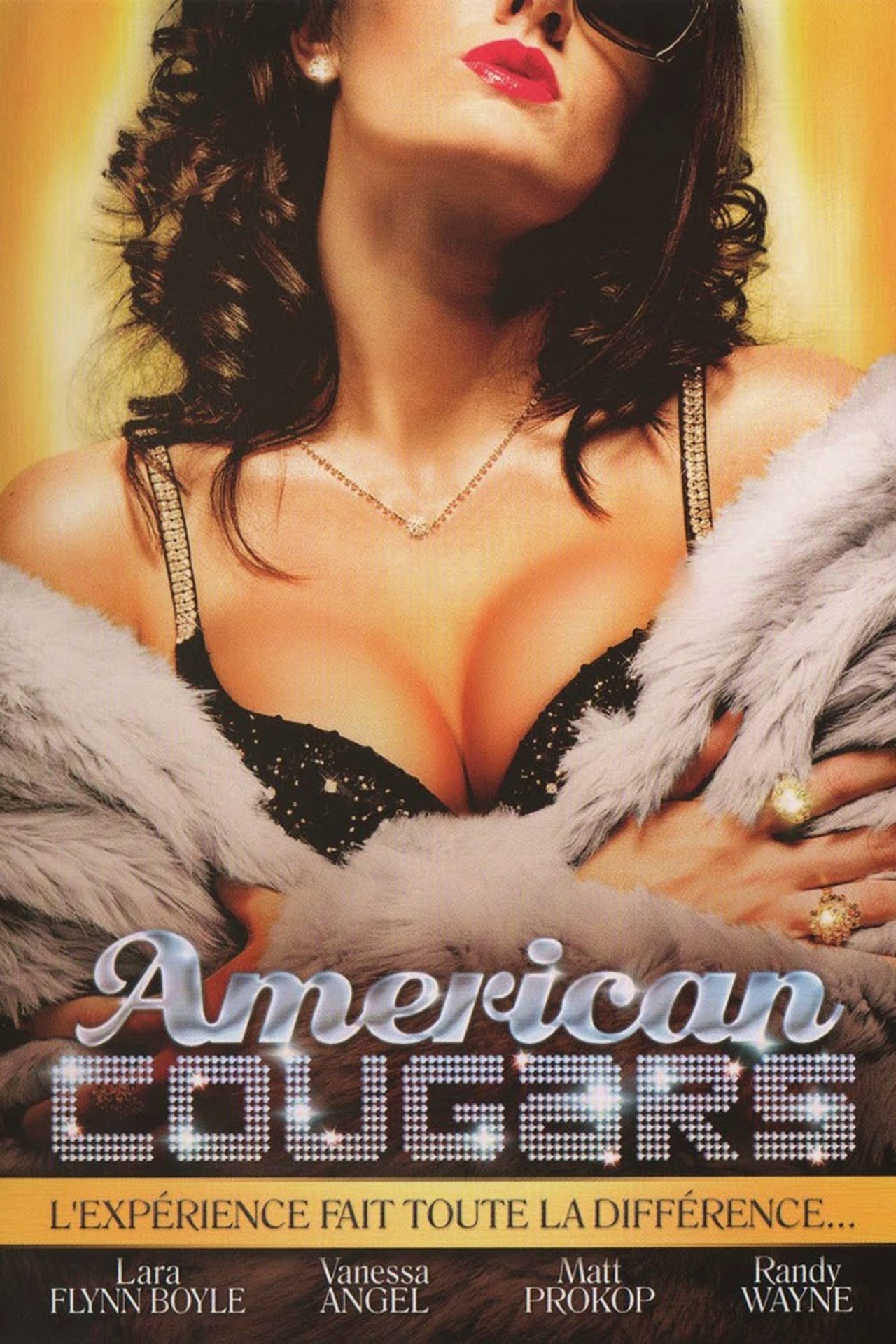 American cougars poster