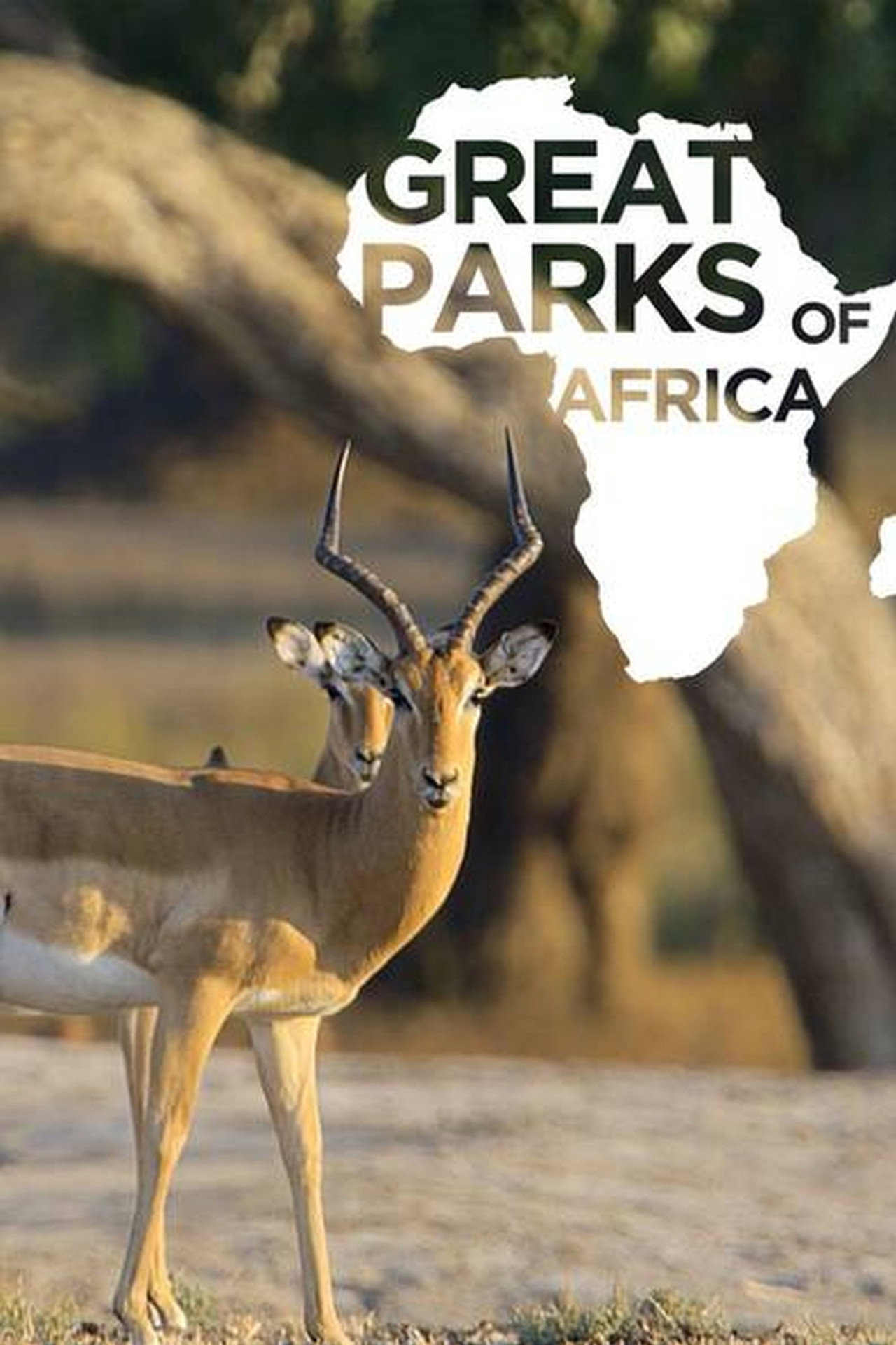 Afrika legszebb nemzeti parkjai – plakát 3