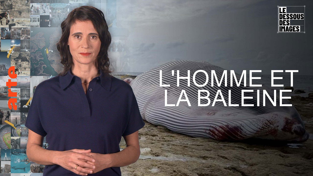 Le Dessous des images — L'homme et la baleine