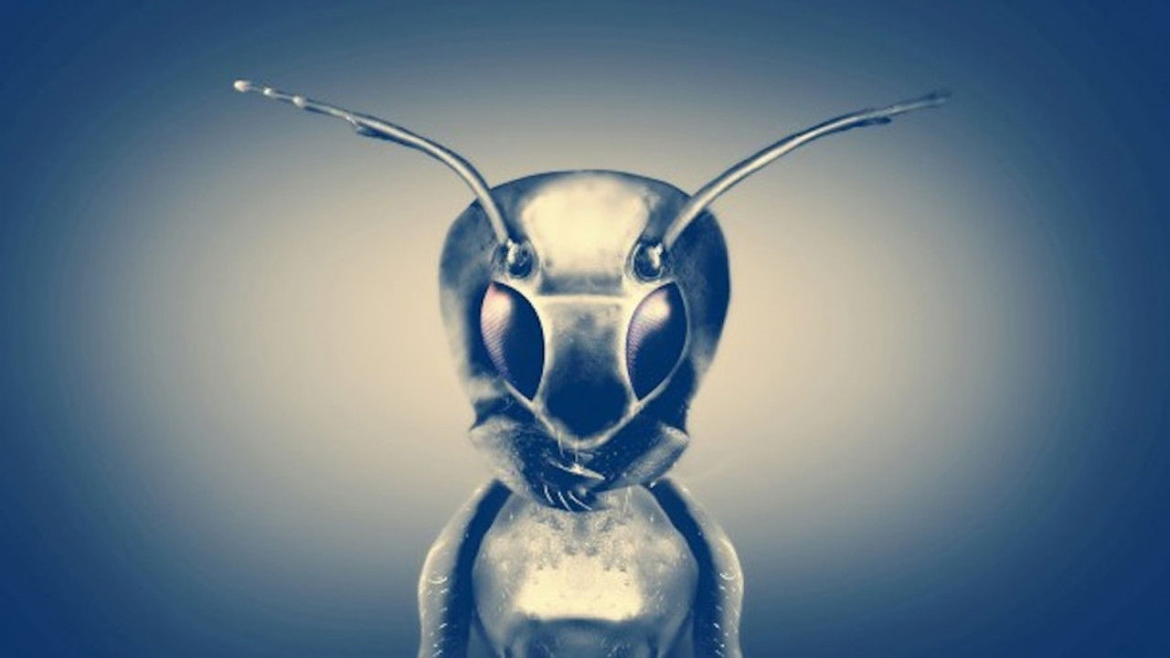 Cosmic Disclosure — Épisode 9