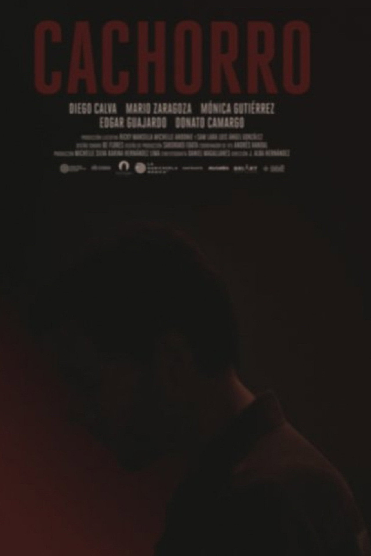 Cachorro filmaffisch