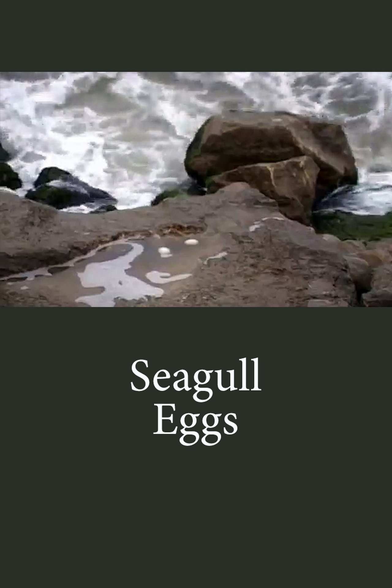 مشاهدة فيلم Seagull Eggs مترجم بدون اعلانات - بوستر