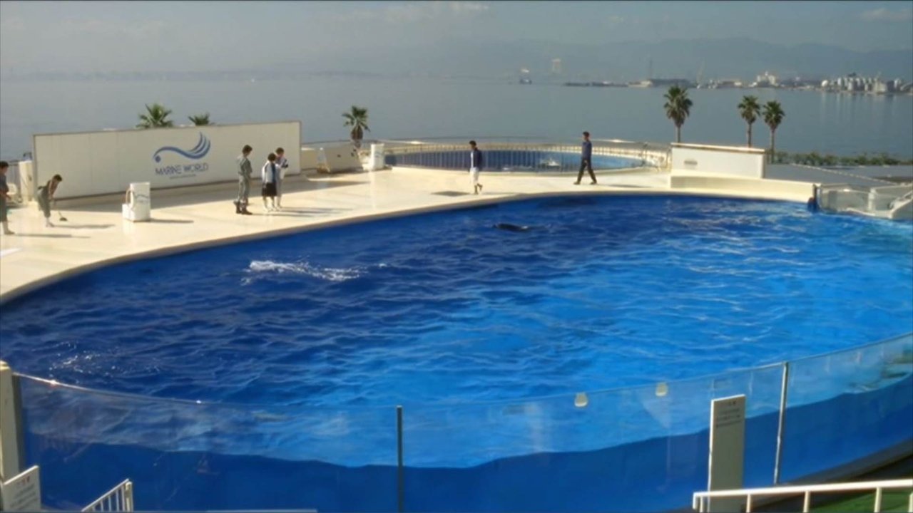 水の中の八月