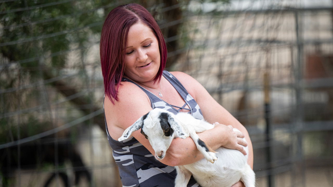 Chasing the West backdrop