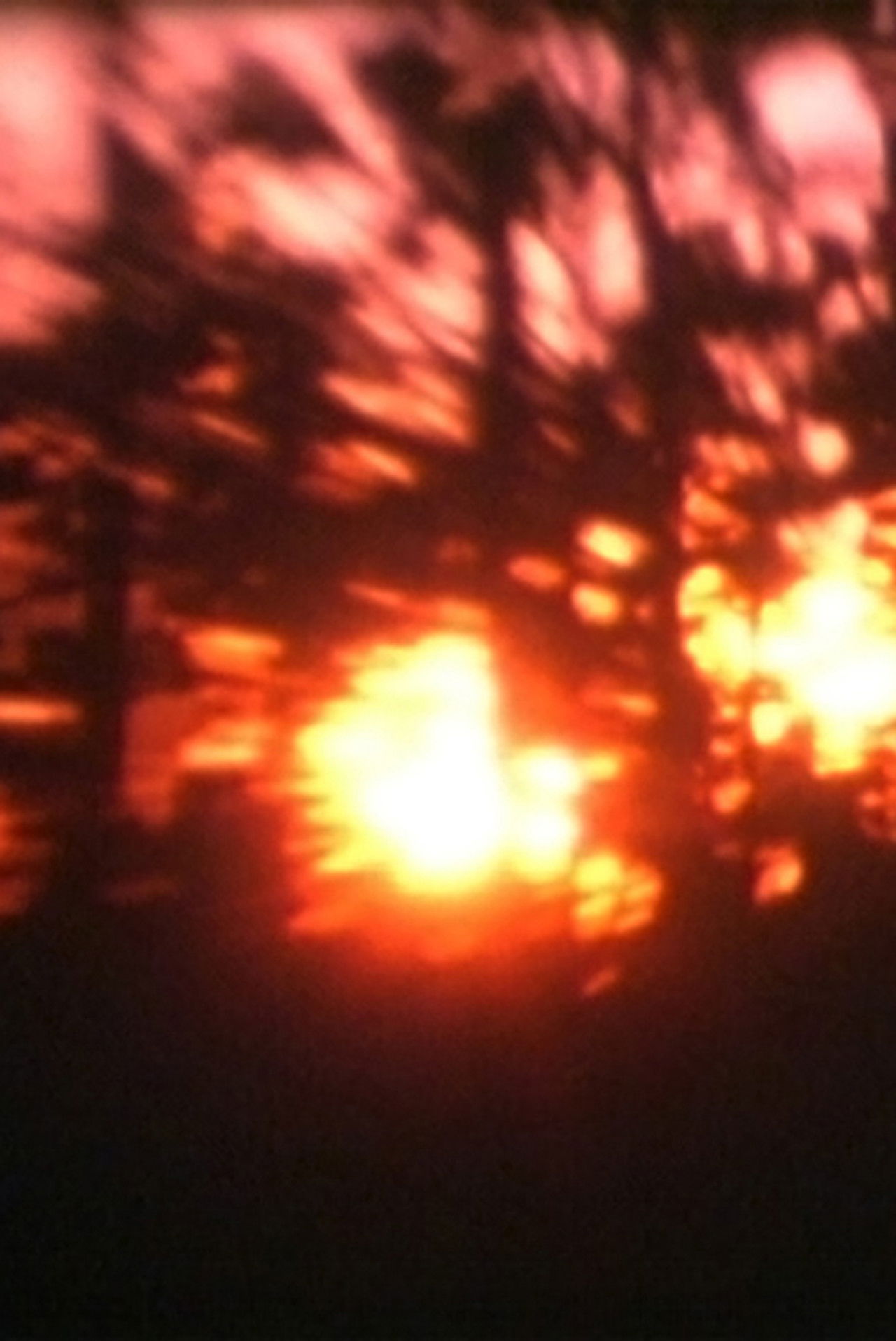 Light from the Mesa Backdrop