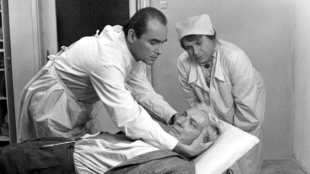 Christmas Eve backdrop