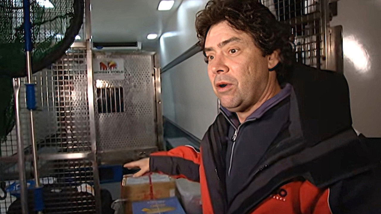 Monkey Business — Épisode 14