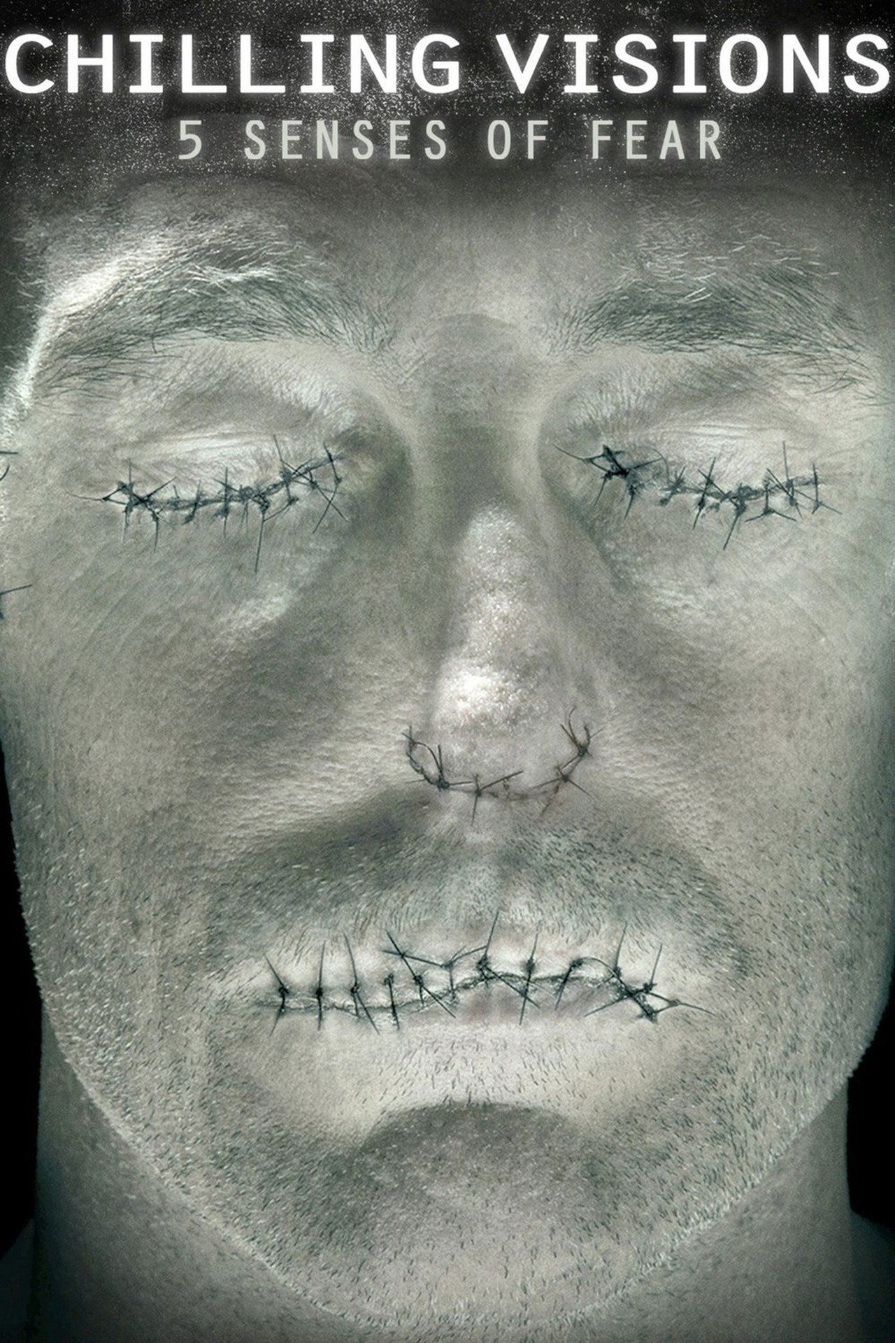 Chilling Visions : 5 Senses of Fear poster