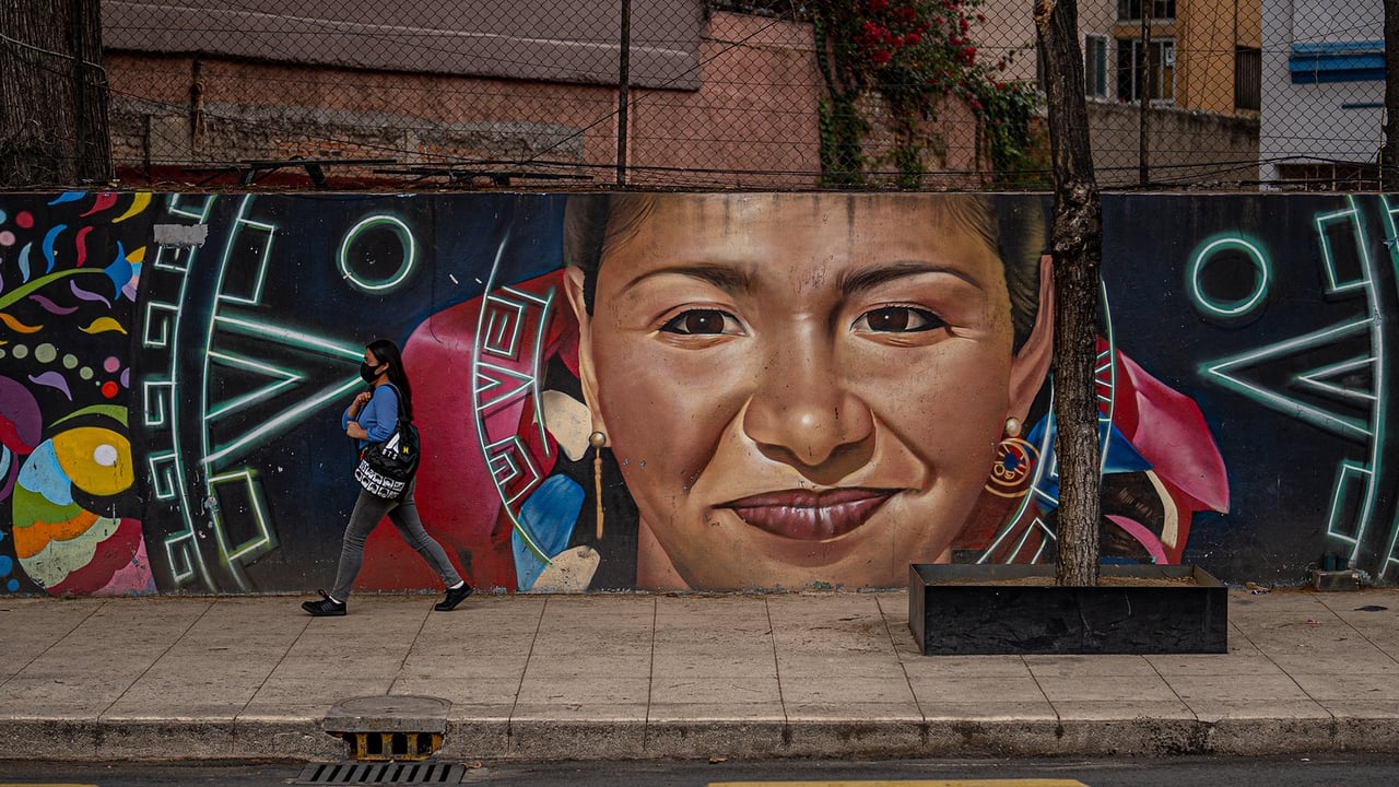 The Femicide Detectives