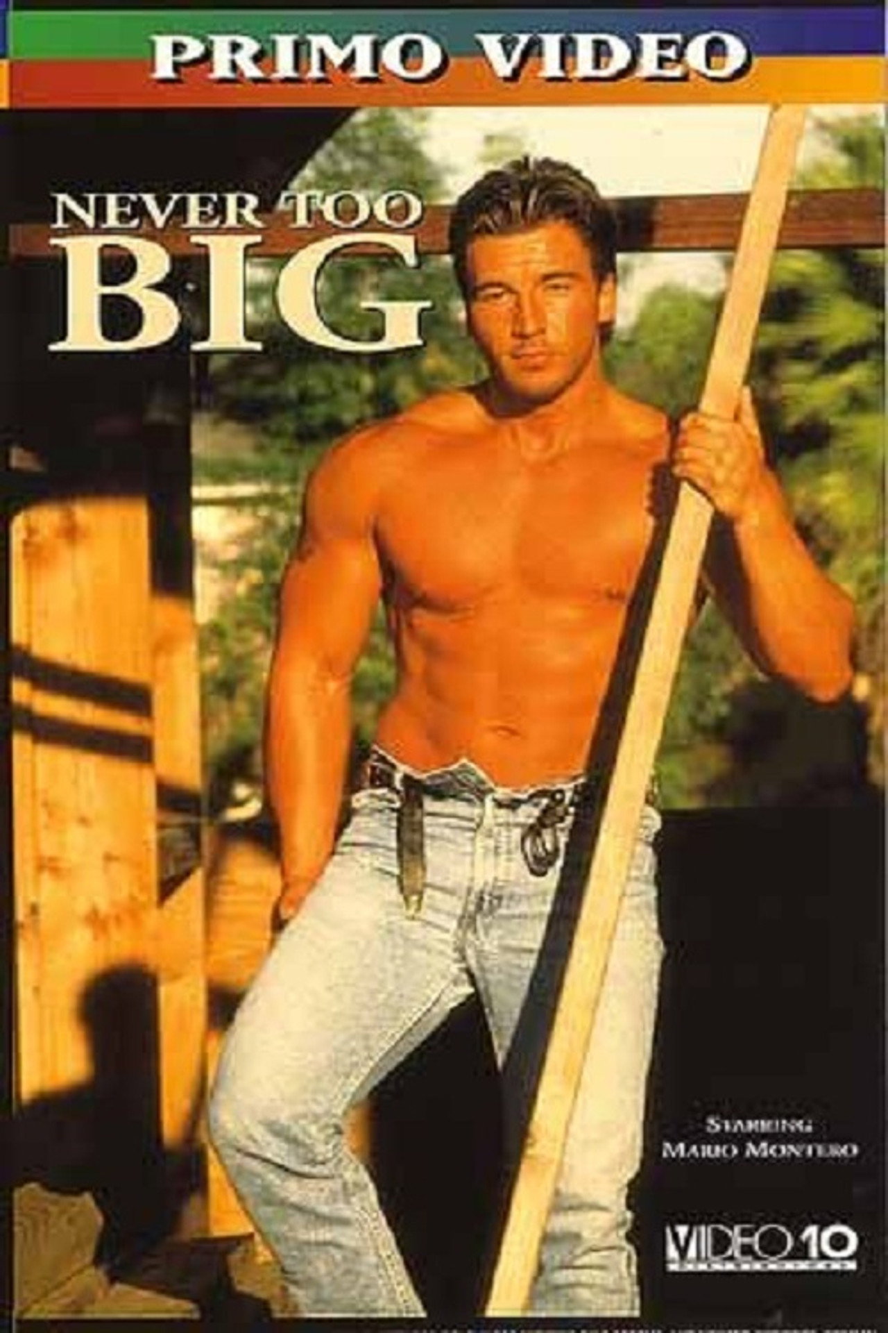 Never Too Big filmaffisch