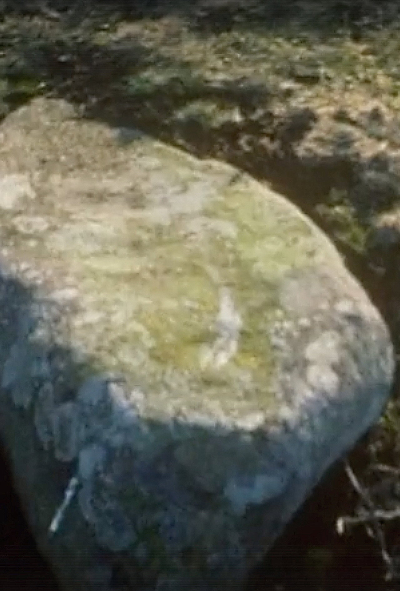 Wales Stone Circles filmaffisch