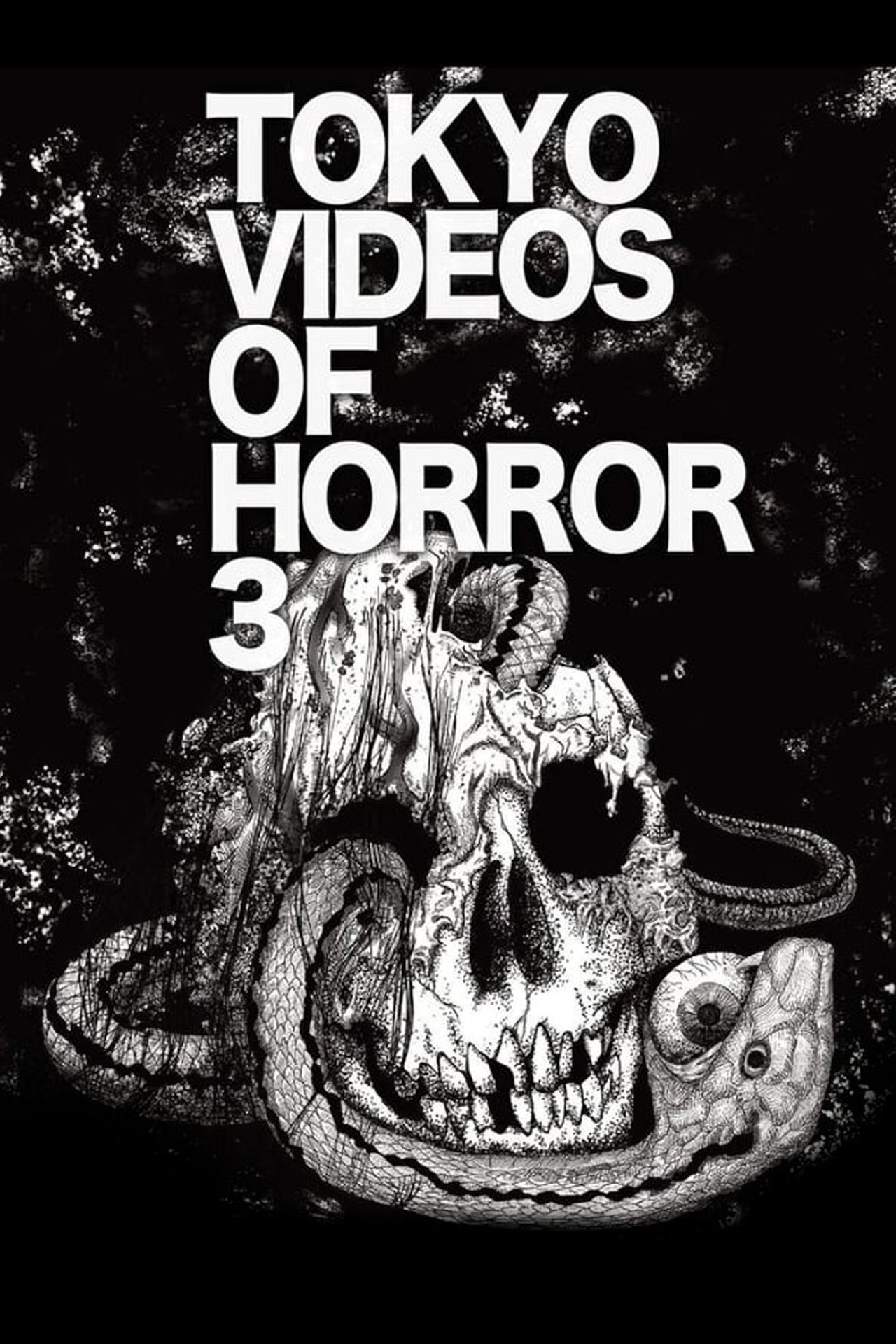 Tokyo Videos of Horror 3 2012