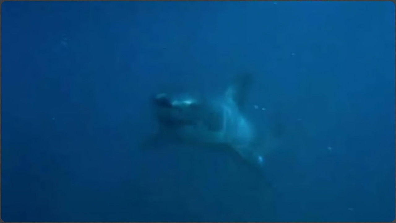 Massive Nature — La traversée