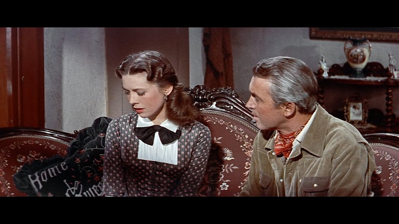 Der Mann aus Laramie Kritik Film 1955 Moviebreak.de
