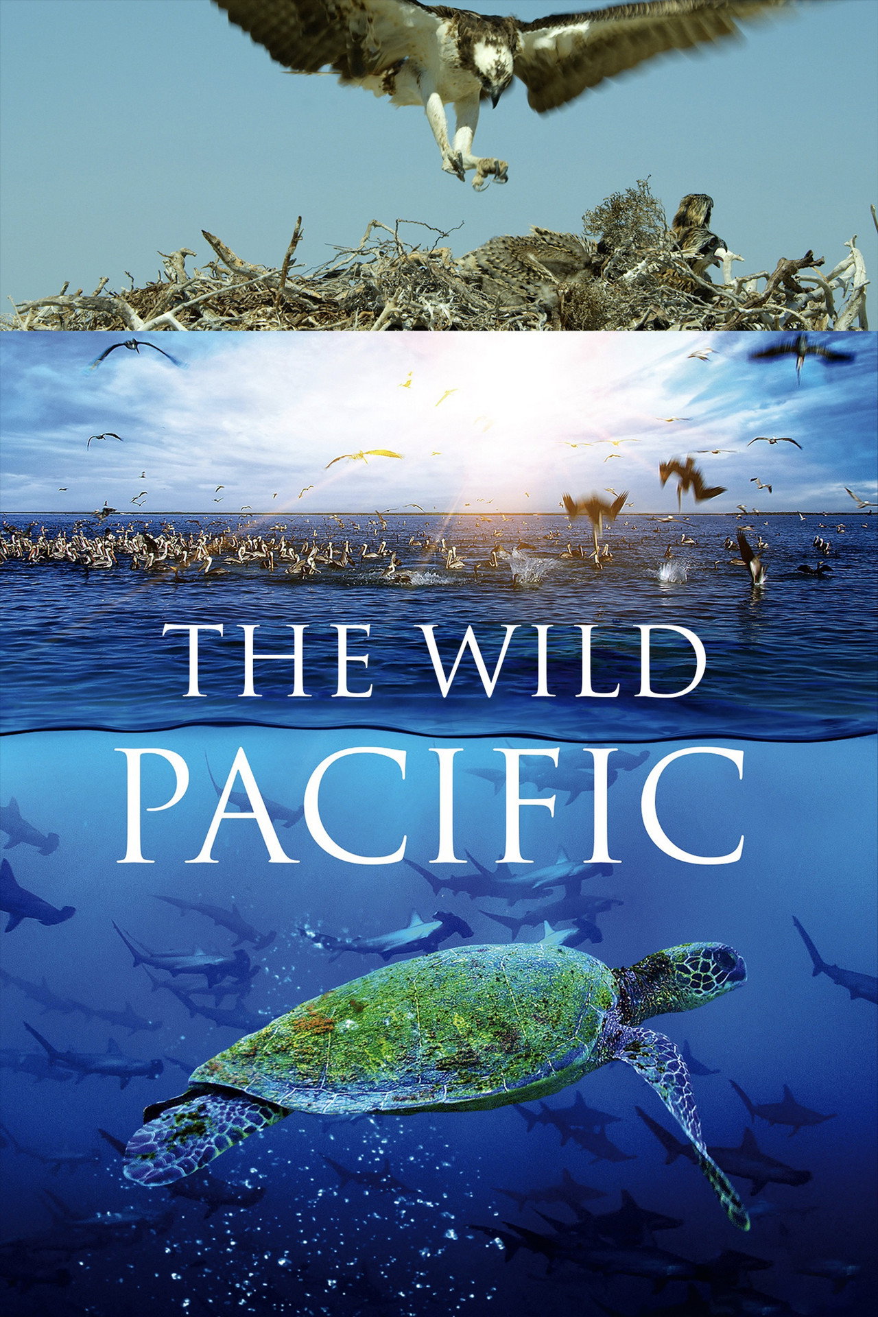 The Wild Pacific filmaffisch