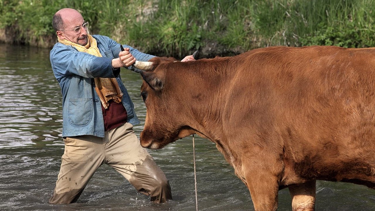 One Man and his Cow (2016)