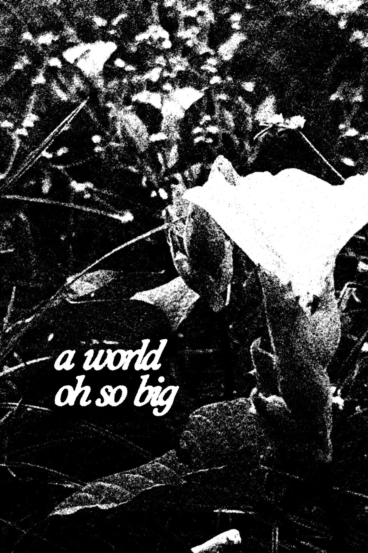 A World Oh So Big
